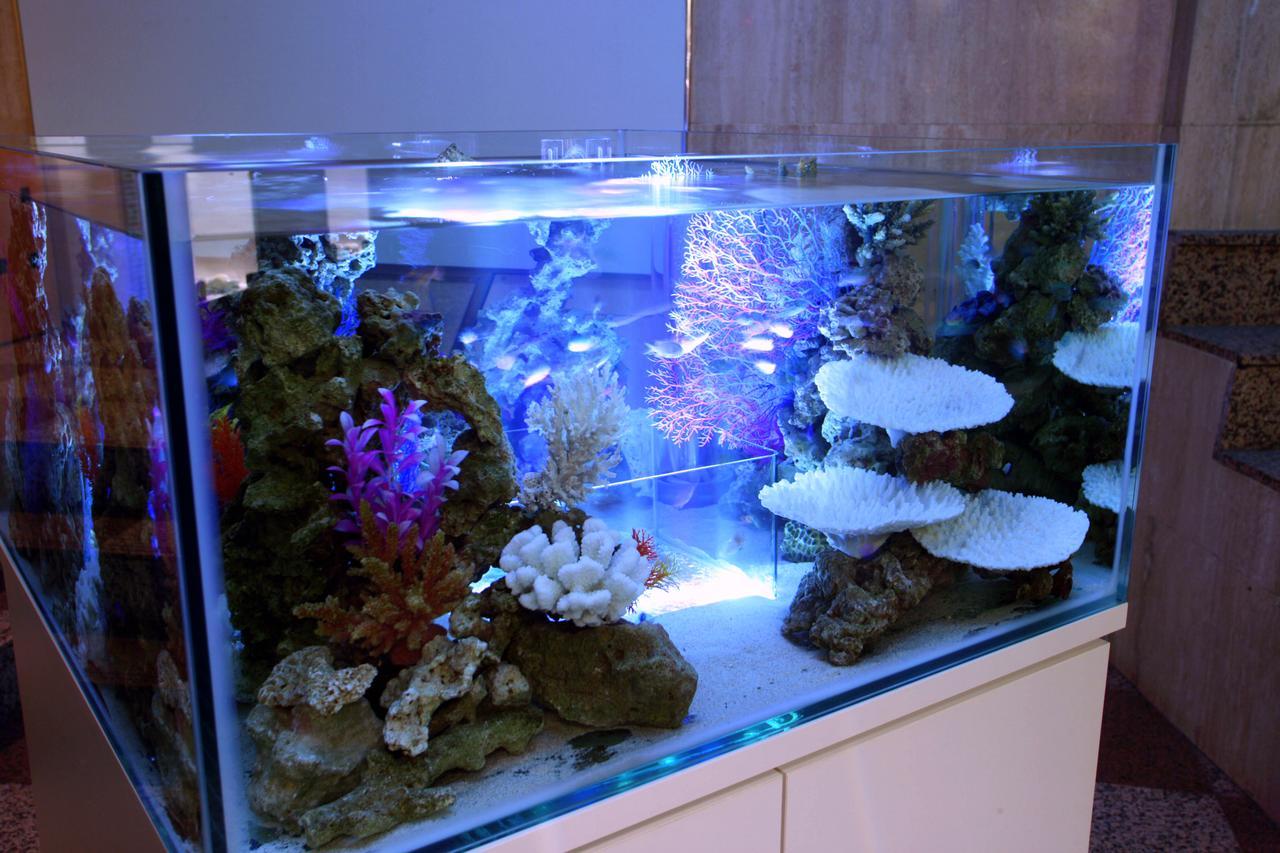 Hotel AQUA Blue Yokosuka  Kültér fotó